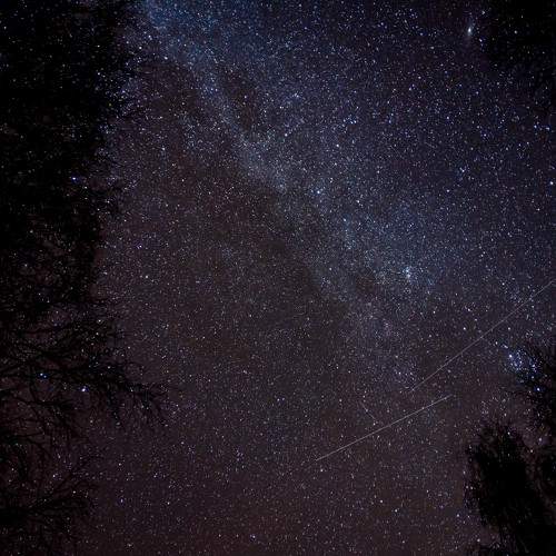 Photo #6380683