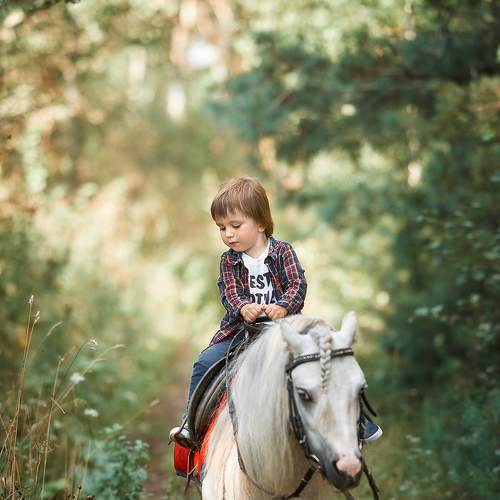 Photo #6380685