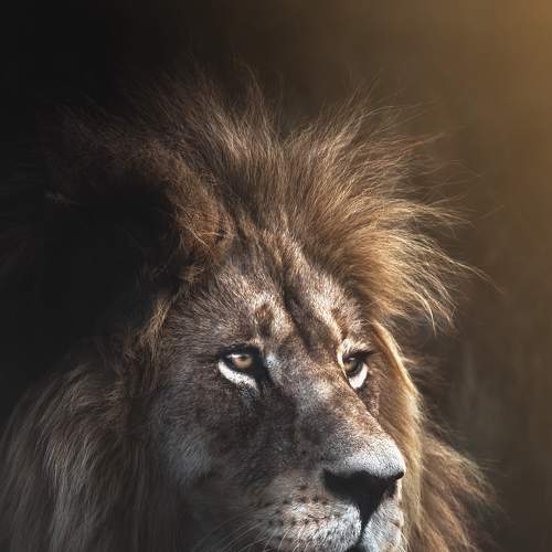 Photo #6380822