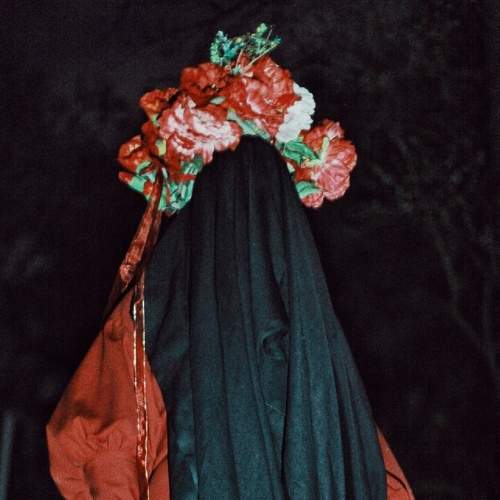 Photo #6381005
