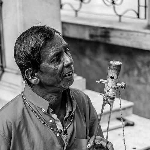 Photo #6381048