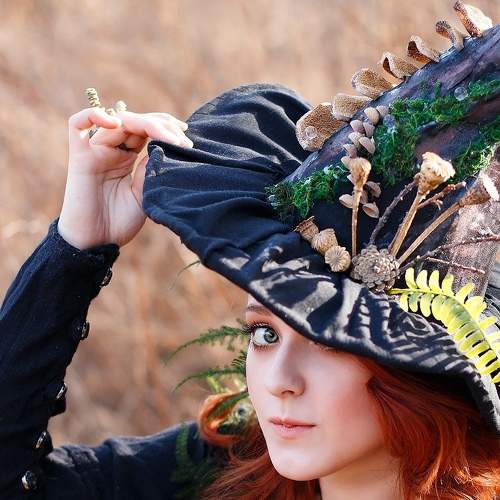 Photo #6381445