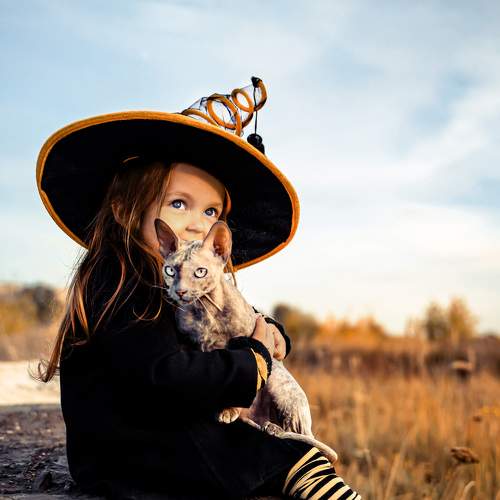 Photo #6381560
