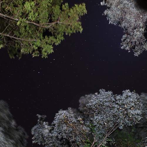 Photo #6381568