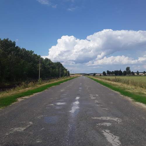 Photo #6382031