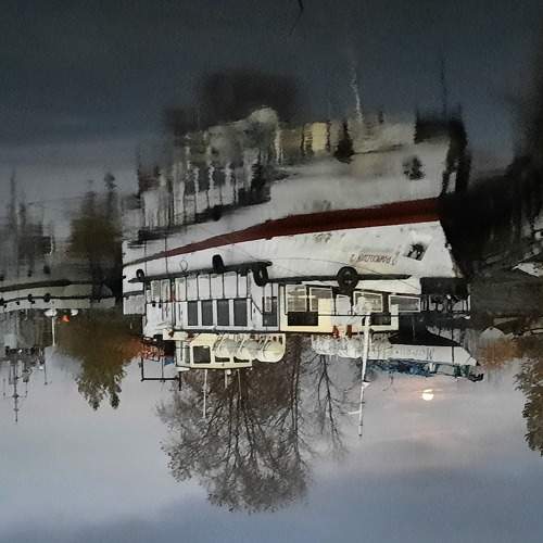 Photo #6382468