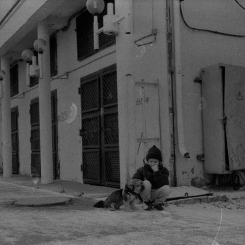 Photo #6382947