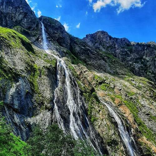Photo #6383042