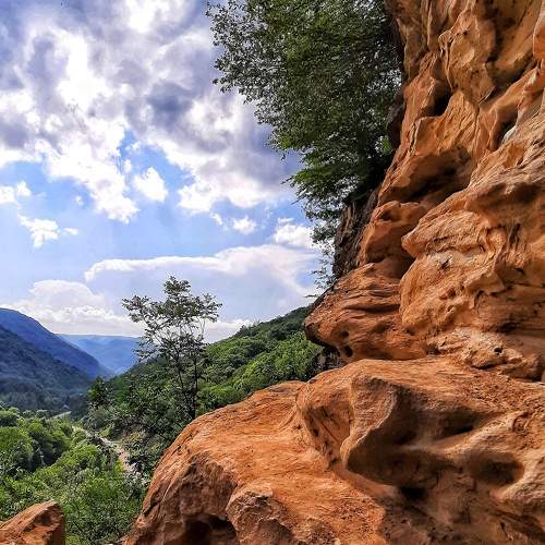 Photo #6383051