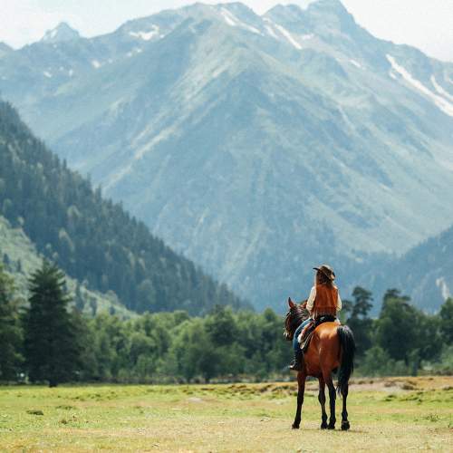 Photo #6383559