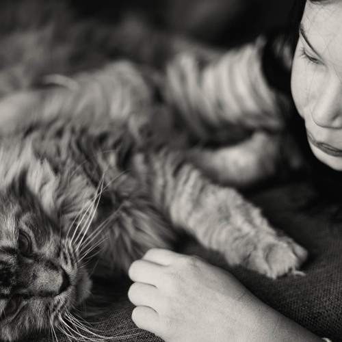 Photo #6383621