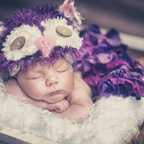 Photo #6383731