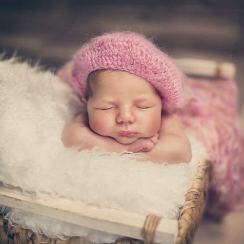 Photo #6383739
