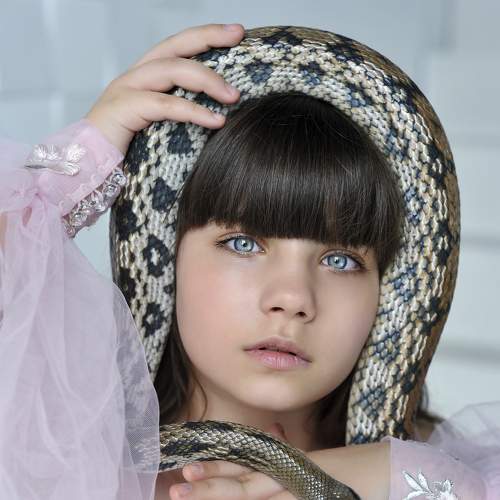 Photo #6384162