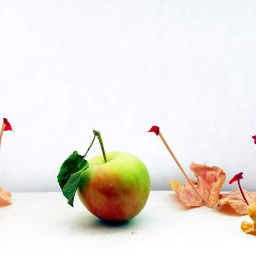 Photo #6384355