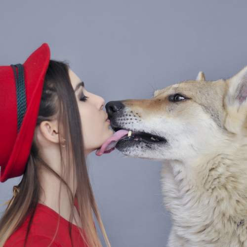 Photo #6384474