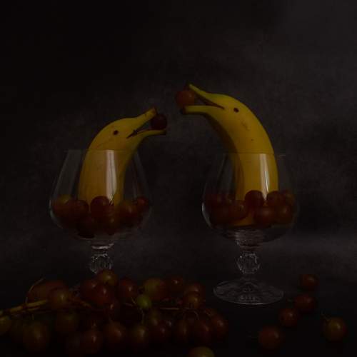 Photo #6385022
