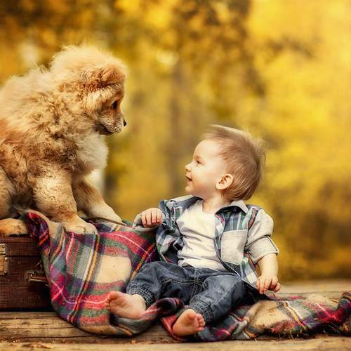 Photo #6385319