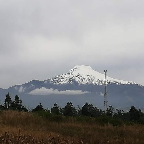 Photo #6385453