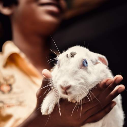 Photo #6385643