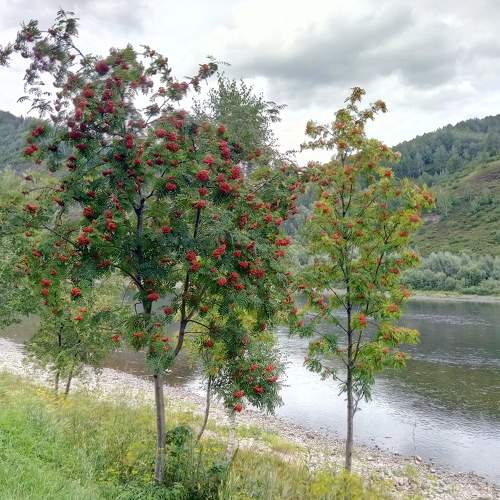 Photo #6385735
