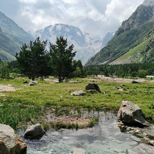 Photo #6386492