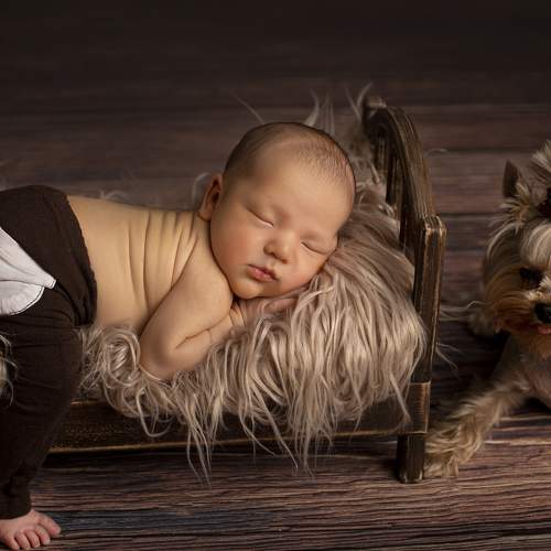 Photo #6386886