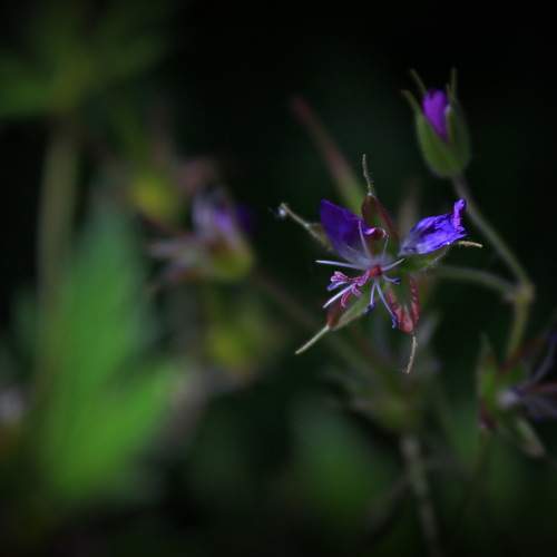Photo #6387323