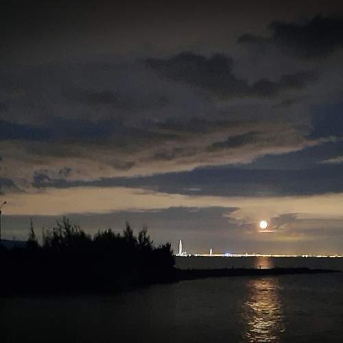 Photo #6387352