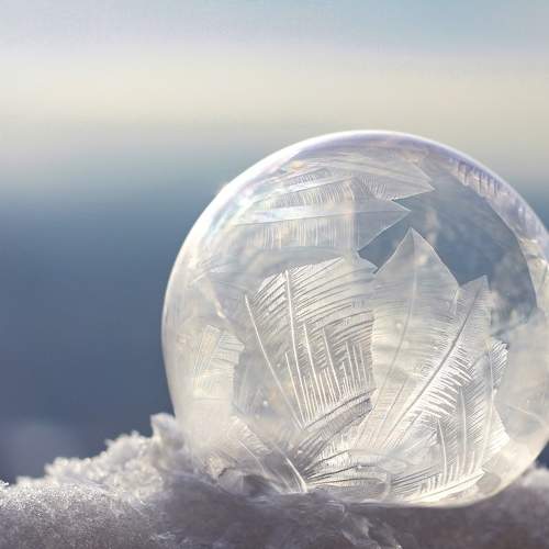 Photo #6387570