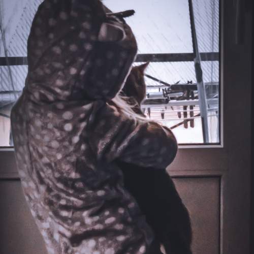 Photo #6387836