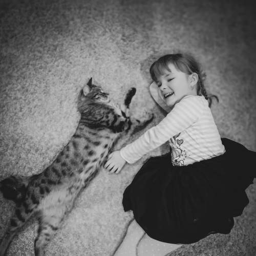 Photo #6387837