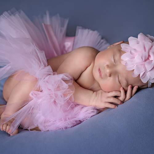 Photo #6388185