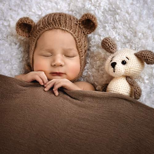 Photo #6388187