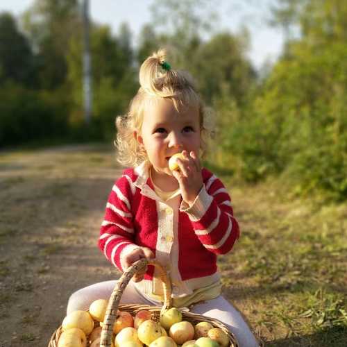 Photo #6388495