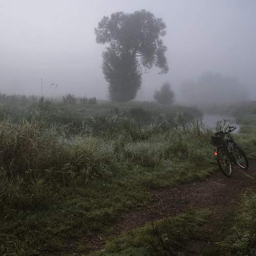Photo #6389230