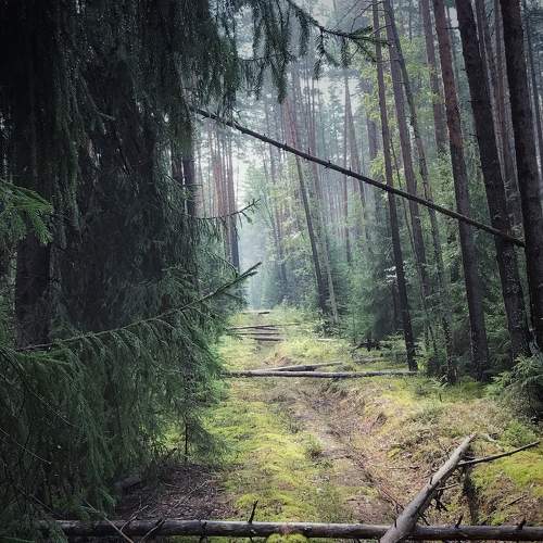 Photo #6389684
