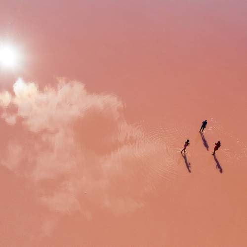 A few people stand on the pink surface of a salt lake.