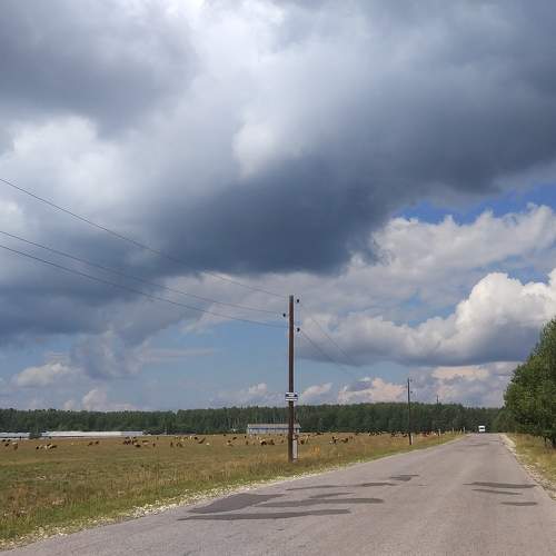 Photo #6391768