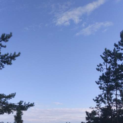 Photo #6391769