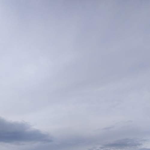 Photo #6391771