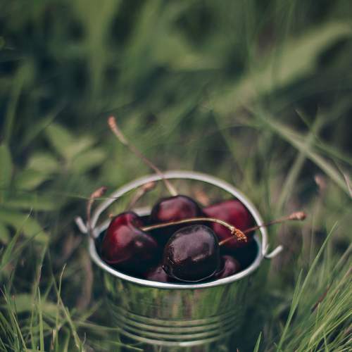 Photo #6392121
