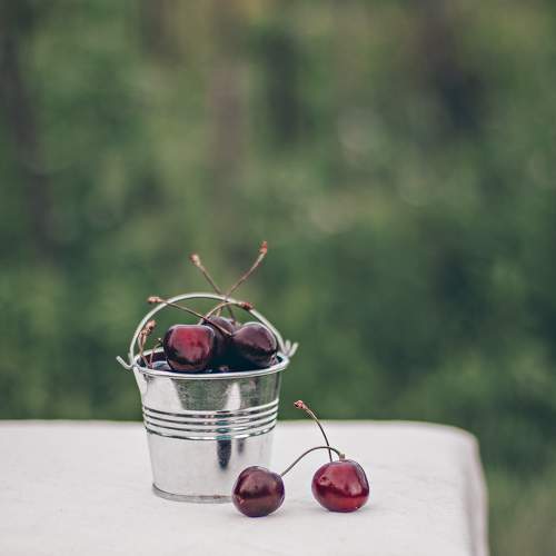 Photo #6392124