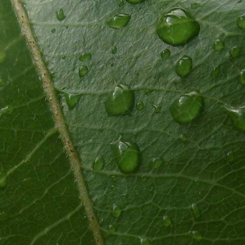 Photo #6392134