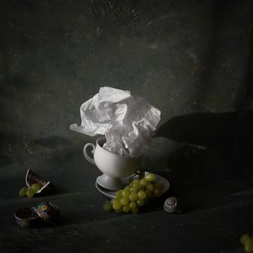 Photo #6392352