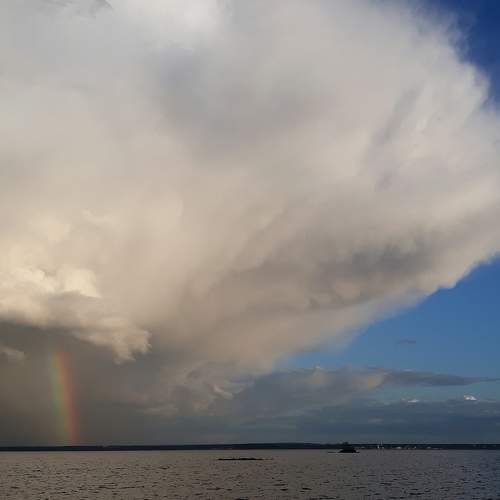 Photo #6392796