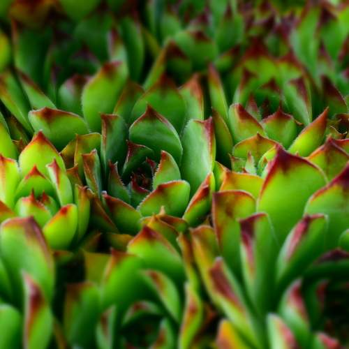 Photo #6392964