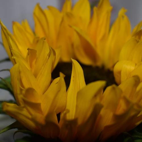 Photo #6392968
