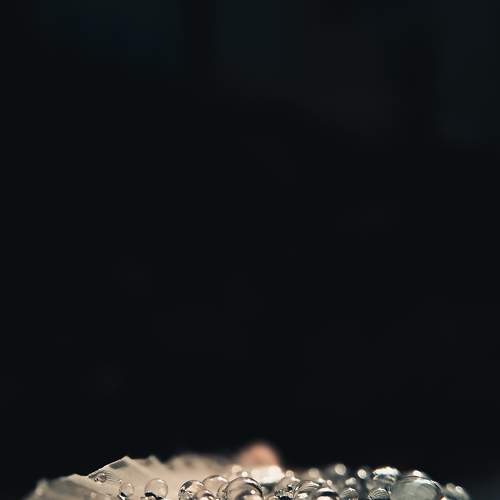 Photo #6393256