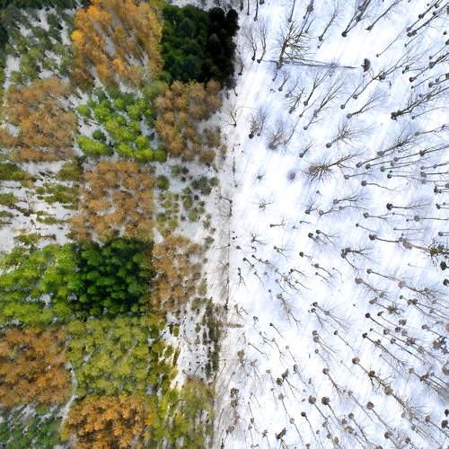 Photo #6393808